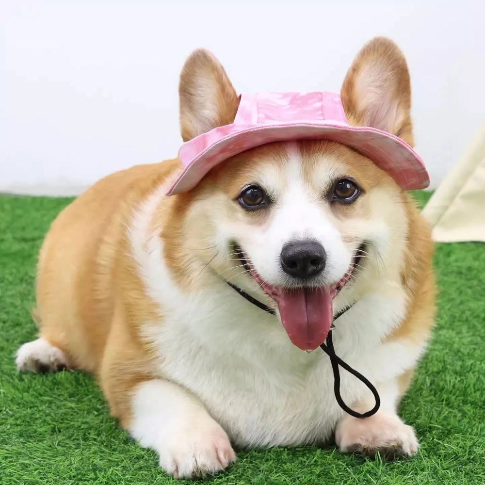 Pastel Paws Sun Cap